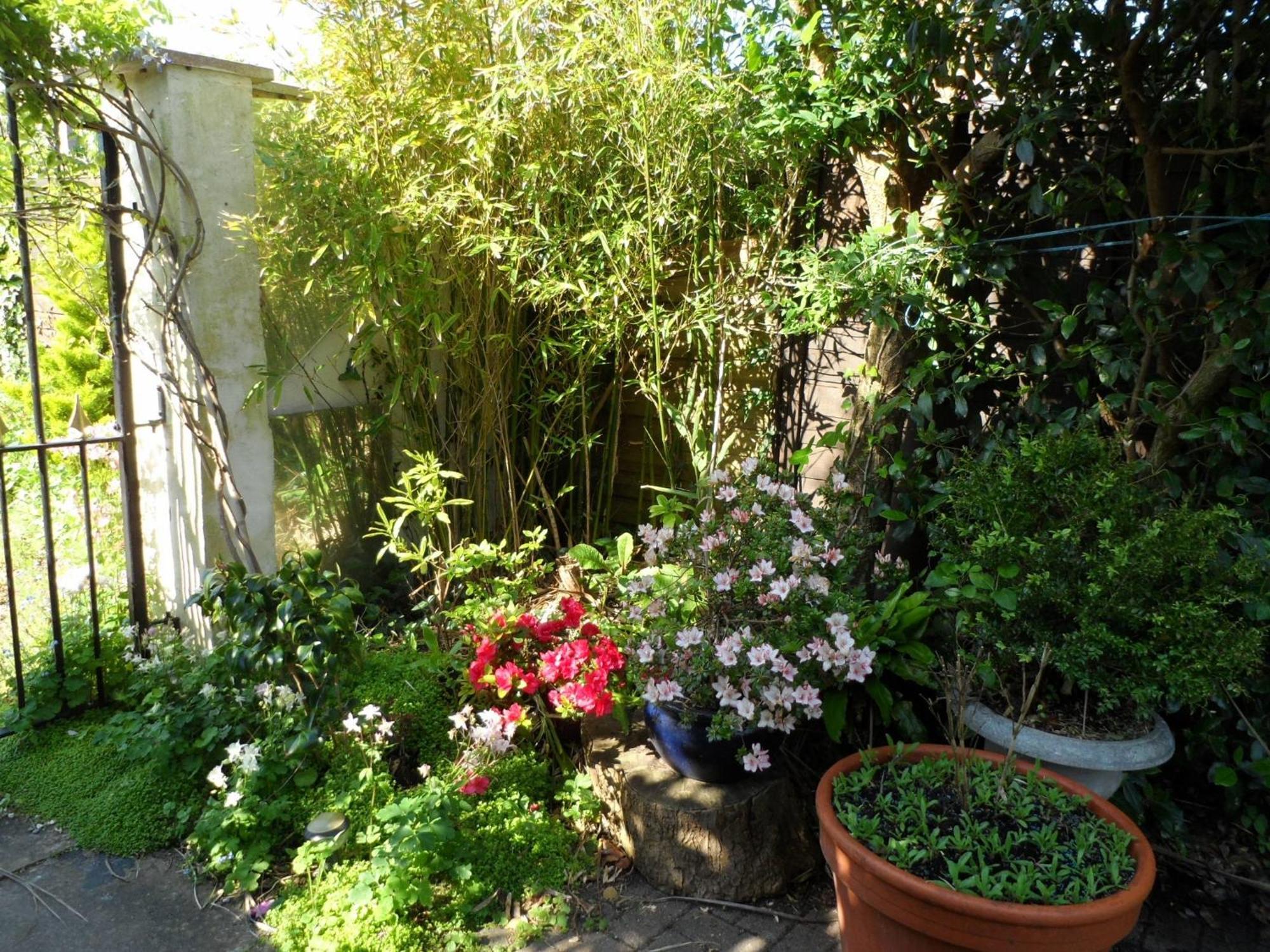 Galway Guest House 웨이머스만 외부 사진