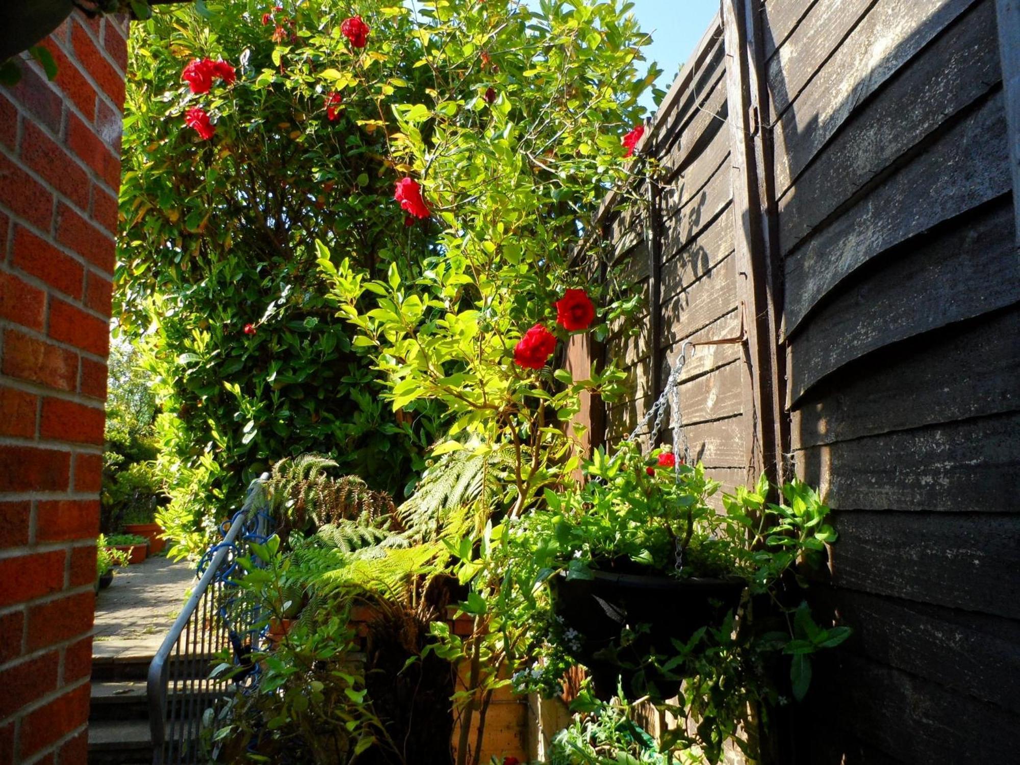 Galway Guest House 웨이머스만 외부 사진